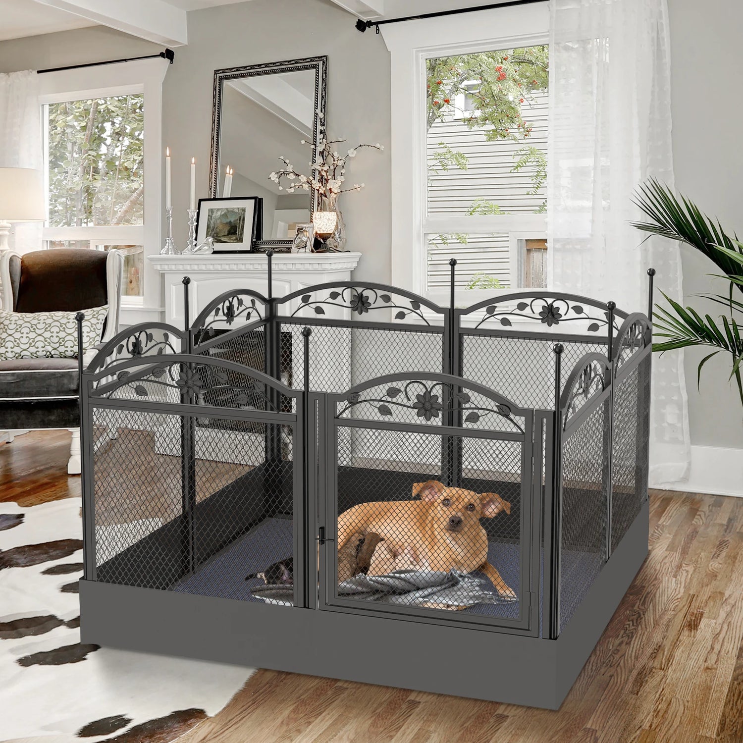 Dog carate huse and pens