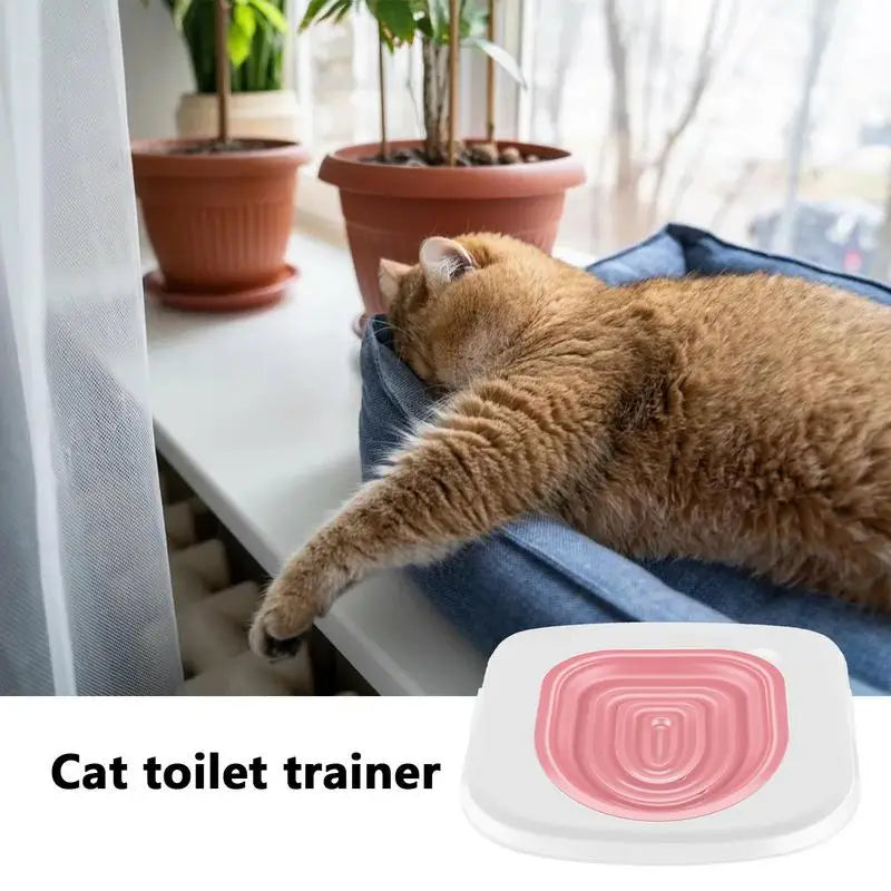Universal Cat Toilet Training Kit With Any Cat Reusable