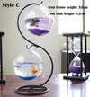 double deck  Hanging Glass Fish Tank  Bottle Aquarium