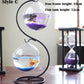 double deck  Hanging Glass Fish Tank  Bottle Aquarium