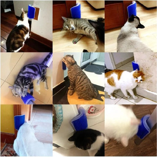 Durian Green Cat Scratcher – Self Grooming & Massage Toy