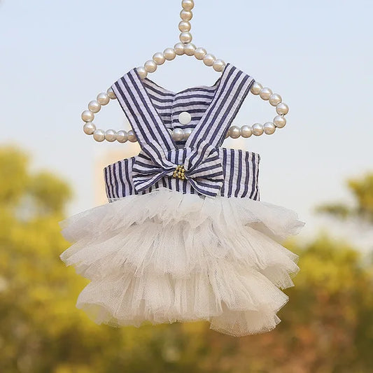 Small dog in a blue striped summer dress with white lace frills.


