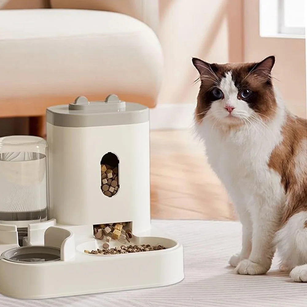 2-in-1 automatic water dispenser and  automatic food bowl set,