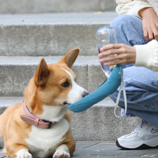 Portable Water Cup Drinking  Water pet Feeder Pet