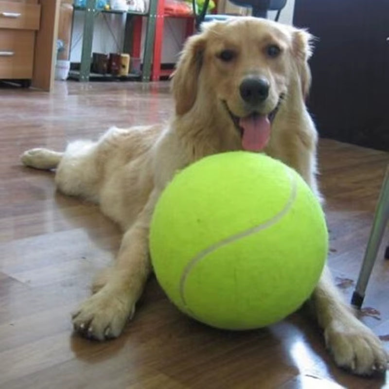 24Cm Dog Tennis Ball Giant Pet Toys for Dog Chewing Toy Thrower Chucker Launcher Play Toy Supplies Outdoor Sports